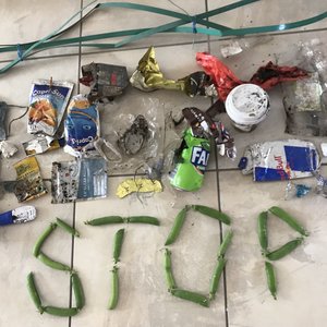 Gesammelter Müll und darunter der Wortlaut Stop (aus grünen Erbsenschoten)