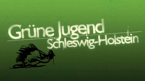 Banner der Grünen Jugend Schleswig Holstein, grüner Hintergrund, links unten befindet sich eine hybride Figur aus Igel und Gesicht